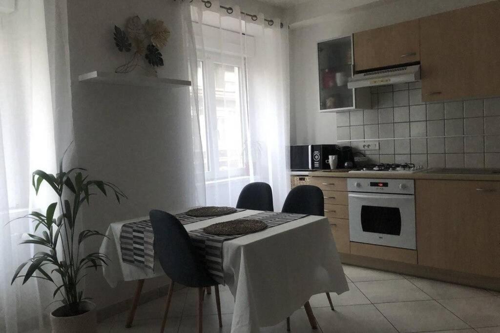 Cosy Appartement Complet Centre-Ville Montbéliard Kültér fotó